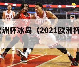 2024欧洲杯冰岛（2021欧洲杯冰岛队）