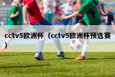 cctv5欧洲杯（cctv5欧洲杯预选赛）