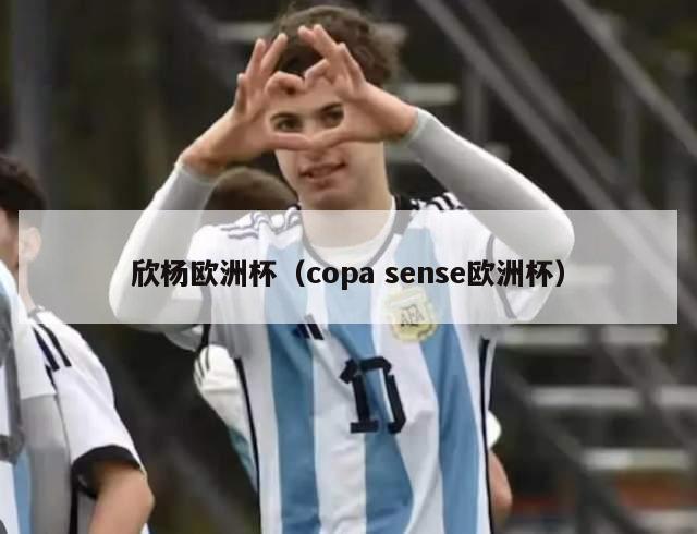 欣杨欧洲杯（copa sense欧洲杯）