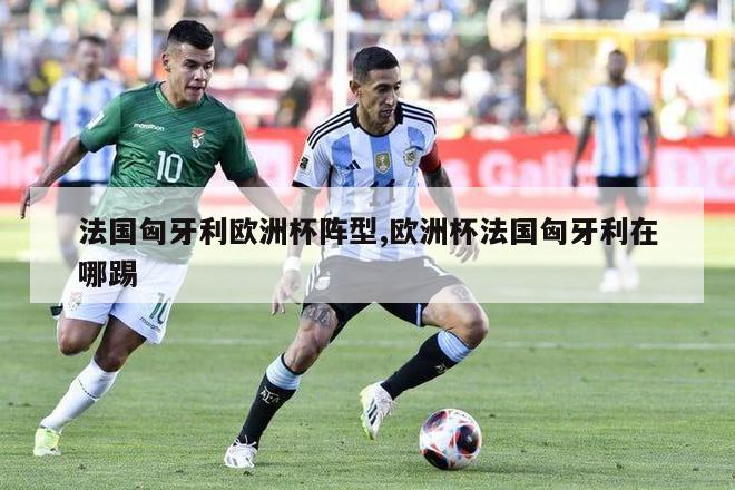 法国匈牙利欧洲杯阵型,欧洲杯法国匈牙利在哪踢